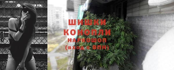 ПСИЛОЦИБИНОВЫЕ ГРИБЫ Алексеевка