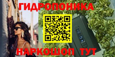 2c-b Кунгур