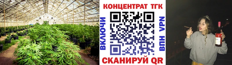 даркнет наркотические препараты  Зеленогорск  ТГК вейп с тгк  купить наркотики сайты 