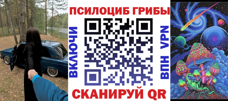 ОМГ ОМГ как войти  Зеленогорск  Псилоцибиновые грибы Magic Shrooms 