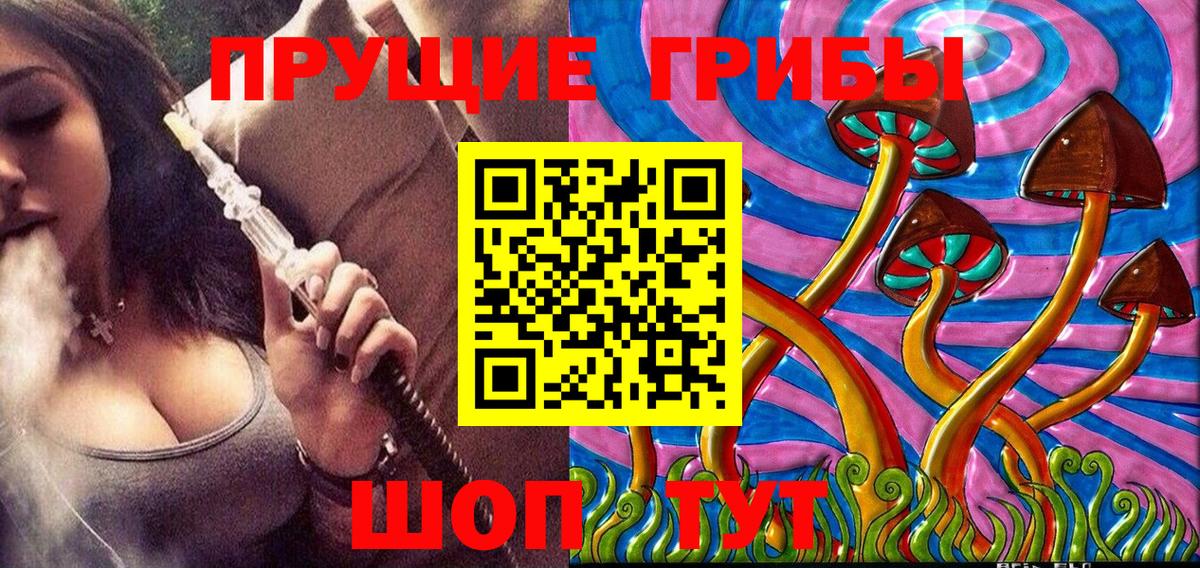 Псилоцибиновые грибы Magic Shrooms Зеленогорск